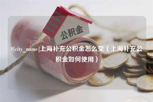 衡阳上海补充公积金怎么交（上海补充公积金如何使用）